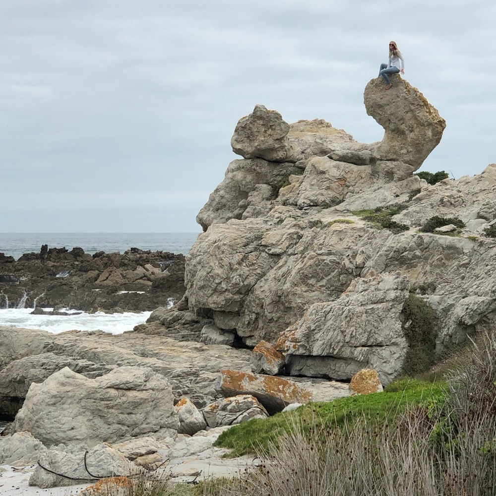 Meet your Posher, Tarryn